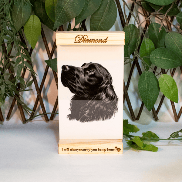 Portaretrato en madera de pino y acrílico