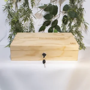 Caja seguridad para dinero en madera
