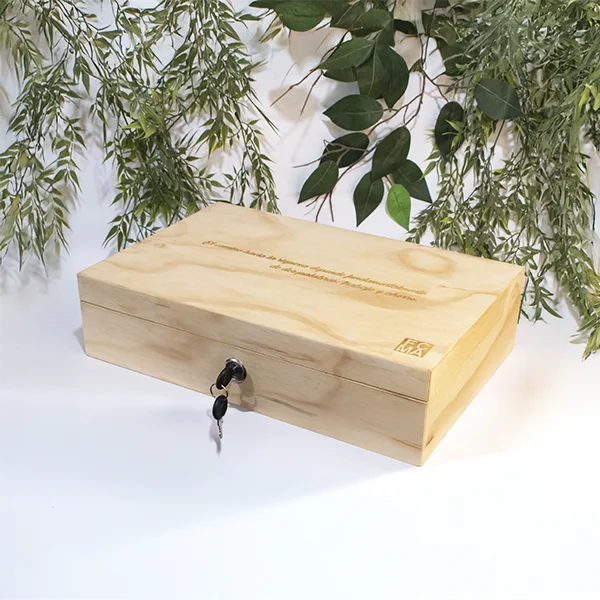 Caja seguridad para dinero en madera - Image 3