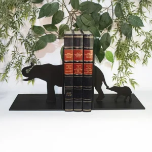 Soporte cuña para libros